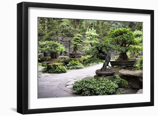 China 10MKm2 Collection - Bonsai Trees-Philippe Hugonnard-Framed Photographic Print