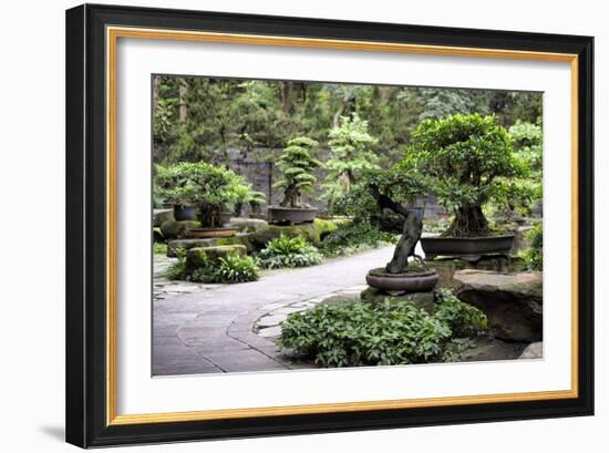 China 10MKm2 Collection - Bonsai Trees-Philippe Hugonnard-Framed Photographic Print