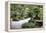 China 10MKm2 Collection - Bonsai Trees-Philippe Hugonnard-Framed Premier Image Canvas