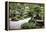 China 10MKm2 Collection - Bonsai Trees-Philippe Hugonnard-Framed Premier Image Canvas