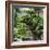 China 10MKm2 Collection - Bonsai Trees-Philippe Hugonnard-Framed Photographic Print