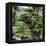 China 10MKm2 Collection - Bonsai Trees-Philippe Hugonnard-Framed Premier Image Canvas