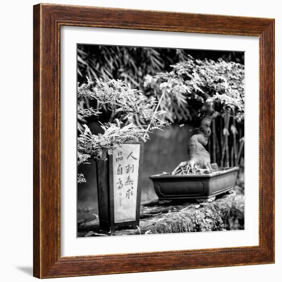 China 10MKm2 Collection - Bonsai Trees-Philippe Hugonnard-Framed Photographic Print