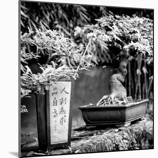 China 10MKm2 Collection - Bonsai Trees-Philippe Hugonnard-Mounted Photographic Print