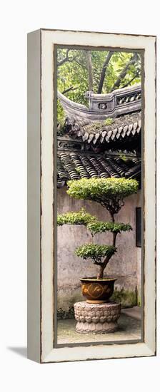 China 10MKm2 Collection - Bonsai-Philippe Hugonnard-Framed Premier Image Canvas