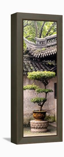 China 10MKm2 Collection - Bonsai-Philippe Hugonnard-Framed Premier Image Canvas
