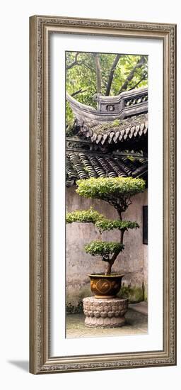 China 10MKm2 Collection - Bonsai-Philippe Hugonnard-Framed Photographic Print