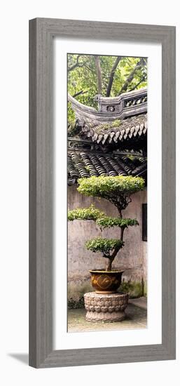 China 10MKm2 Collection - Bonsai-Philippe Hugonnard-Framed Photographic Print