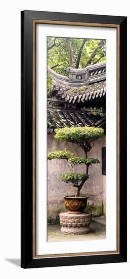 China 10MKm2 Collection - Bonsai-Philippe Hugonnard-Framed Photographic Print