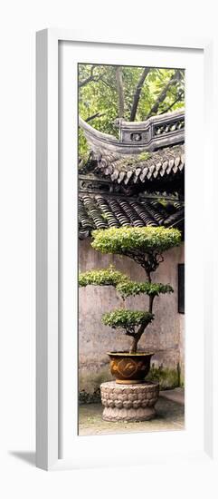 China 10MKm2 Collection - Bonsai-Philippe Hugonnard-Framed Photographic Print