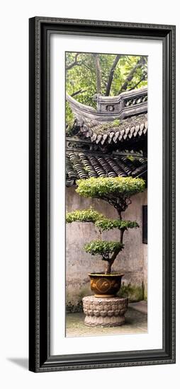 China 10MKm2 Collection - Bonsai-Philippe Hugonnard-Framed Photographic Print