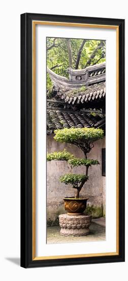 China 10MKm2 Collection - Bonsai-Philippe Hugonnard-Framed Photographic Print