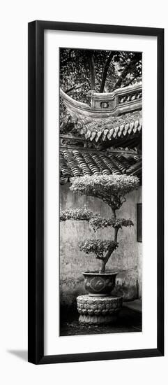 China 10MKm2 Collection - Bonsai-Philippe Hugonnard-Framed Photographic Print