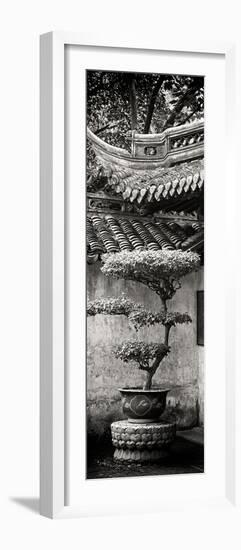 China 10MKm2 Collection - Bonsai-Philippe Hugonnard-Framed Photographic Print
