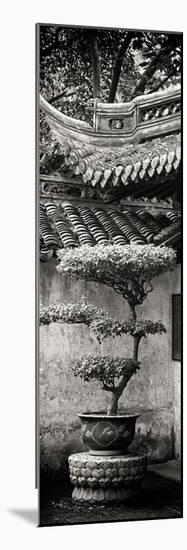 China 10MKm2 Collection - Bonsai-Philippe Hugonnard-Mounted Photographic Print