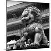 China 10MKm2 Collection - Bronze Chinese Lion in Forbidden City-Philippe Hugonnard-Mounted Photographic Print