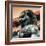 China 10MKm2 Collection - Bronze Chinese Lion in Forbidden City-Philippe Hugonnard-Framed Photographic Print