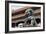 China 10MKm2 Collection - Bronze Chinese Lion in Forbidden City-Philippe Hugonnard-Framed Photographic Print