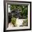 China 10MKm2 Collection - Chinese Dragon Head-Philippe Hugonnard-Framed Photographic Print