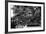 China 10MKm2 Collection - Chinese Dragon Head-Philippe Hugonnard-Framed Photographic Print