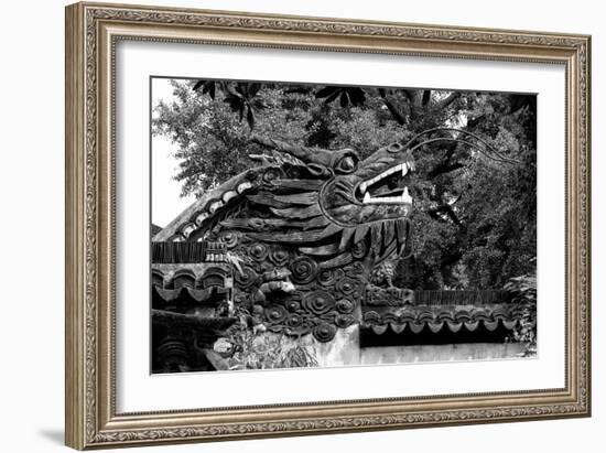 China 10MKm2 Collection - Chinese Dragon Head-Philippe Hugonnard-Framed Photographic Print