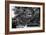 China 10MKm2 Collection - Chinese Dragon Head-Philippe Hugonnard-Framed Photographic Print