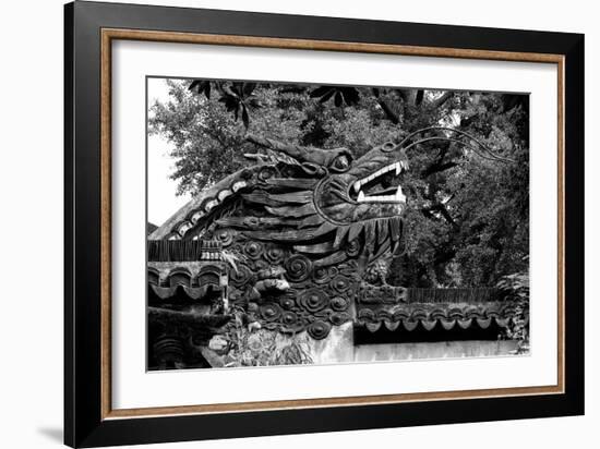 China 10MKm2 Collection - Chinese Dragon Head-Philippe Hugonnard-Framed Photographic Print