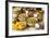 China 10MKm2 Collection - Chinese Food-Philippe Hugonnard-Framed Photographic Print