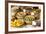 China 10MKm2 Collection - Chinese Food-Philippe Hugonnard-Framed Photographic Print