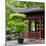 China 10MKm2 Collection - Classical Chinese Pavilion-Philippe Hugonnard-Mounted Photographic Print