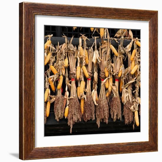 China 10MKm2 Collection - Corn Drying-Philippe Hugonnard-Framed Photographic Print