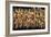 China 10MKm2 Collection - Corn Drying-Philippe Hugonnard-Framed Photographic Print