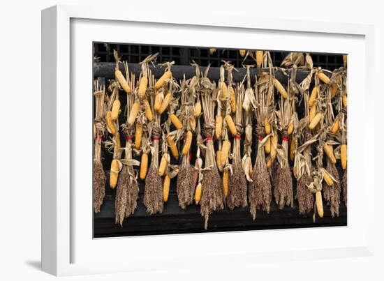 China 10MKm2 Collection - Corn Drying-Philippe Hugonnard-Framed Photographic Print