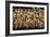 China 10MKm2 Collection - Corn Drying-Philippe Hugonnard-Framed Photographic Print