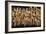 China 10MKm2 Collection - Corn Drying-Philippe Hugonnard-Framed Photographic Print