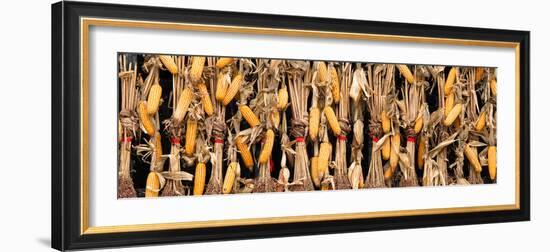 China 10MKm2 Collection - Corn Drying-Philippe Hugonnard-Framed Photographic Print