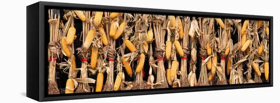 China 10MKm2 Collection - Corn Drying-Philippe Hugonnard-Framed Premier Image Canvas