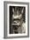 China 10MKm2 Collection - Detail of Dragon-Philippe Hugonnard-Framed Photographic Print