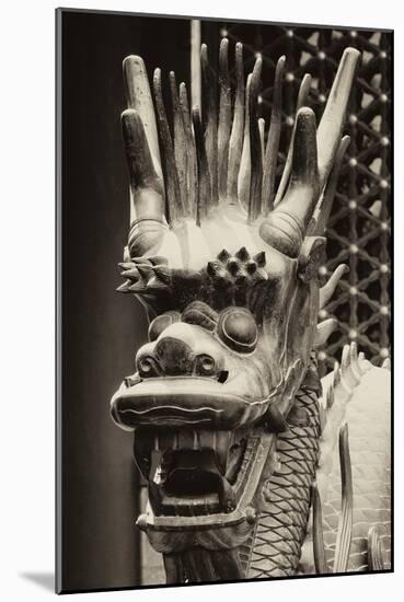 China 10MKm2 Collection - Detail of Dragon-Philippe Hugonnard-Mounted Photographic Print