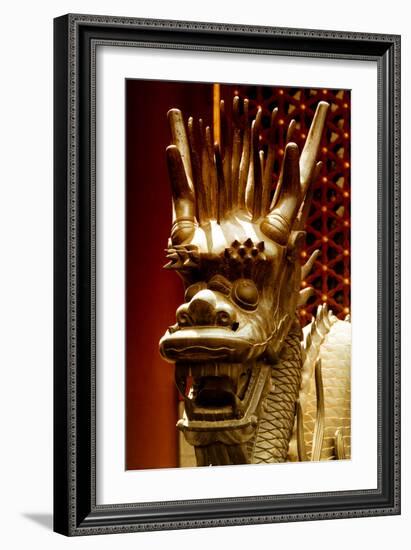 China 10MKm2 Collection - Detail of Dragon-Philippe Hugonnard-Framed Photographic Print