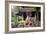 China 10MKm2 Collection - Dragon Temple-Philippe Hugonnard-Framed Photographic Print