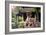 China 10MKm2 Collection - Dragon Temple-Philippe Hugonnard-Framed Photographic Print