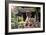 China 10MKm2 Collection - Dragon Temple-Philippe Hugonnard-Framed Photographic Print