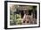 China 10MKm2 Collection - Dragon Temple-Philippe Hugonnard-Framed Photographic Print