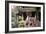 China 10MKm2 Collection - Dragon Temple-Philippe Hugonnard-Framed Photographic Print