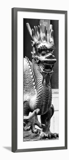 China 10MKm2 Collection - Dragon-Philippe Hugonnard-Framed Photographic Print