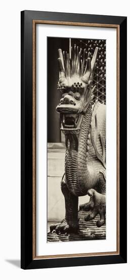 China 10MKm2 Collection - Dragon-Philippe Hugonnard-Framed Photographic Print