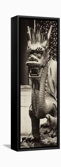 China 10MKm2 Collection - Dragon-Philippe Hugonnard-Framed Premier Image Canvas