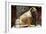 China 10MKm2 Collection - Elephant Buddha-Philippe Hugonnard-Framed Photographic Print