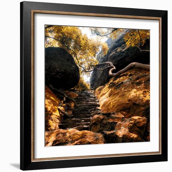 China 10MKm2 Collection - Forest ray of light in Autumn-Philippe Hugonnard-Framed Photographic Print